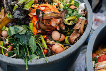 Fruits and vegetables in a compost bin