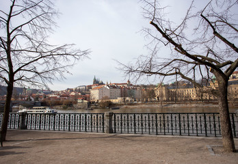 A riverbank in Prague with two trees in the foreground and a clear blue sky 