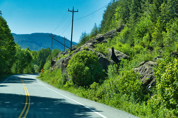 Scenic forest road during a vibrant summer day. Taken from camper, Ucluelet and Tofino, Vancouver Island, BC, Canada