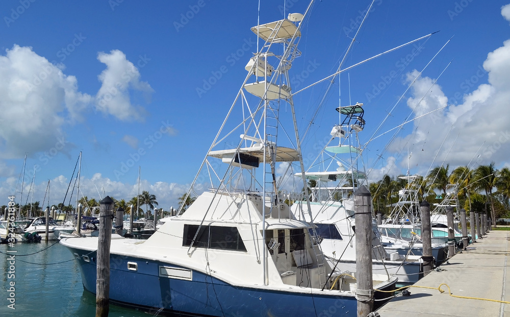 Wall mural charter deep sea fishing boats docked in a marina on key biscayne ,florida