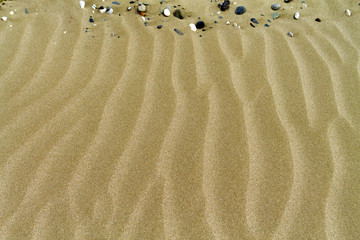 ripples in the sand