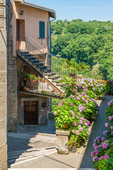 Scenic sight in the village of Vignanello, Province of Viterbo, Lazio, Italy.