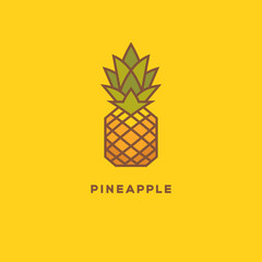 Bright colorful pineapple geometric logo.
