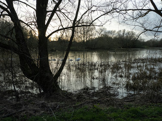 FLOOD IN THE PARK
