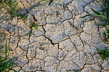Top down view of cracked dry earth 