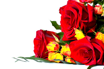 Close-up bouquet of red roses isolated on white background, cover for holiday cards and typography