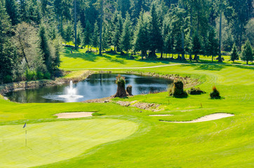 Golf course with gorgeous green and pond.