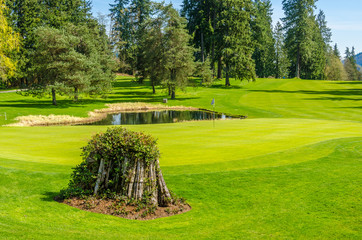 Fototapeta premium Golf course with gorgeous green and pond.