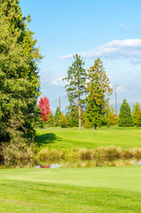 Golf course with gorgeous green and pond.