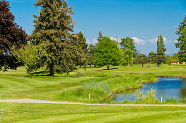 Golf course with gorgeous green and pond.