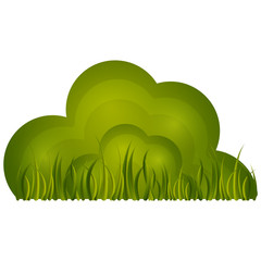 Fototapeta premium Isolated bush with grass