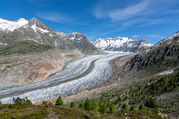The Aletsch glacier near Bettmeralp in the Swiss alps on a sunny day