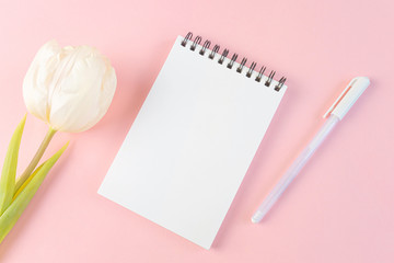 Notebook on a spiral with a blank white sheet, pen and white tulip on a pastel pink background. Flat lay, top view, copyspace, minimalism. The concept of a girl’s diary, notes, ideas.