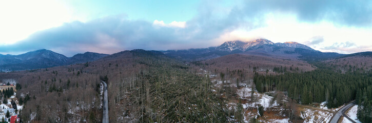 Aerial drone 180 degrees panorama showing hundreds of fir trees torn up by their roots, razed to the ground, by a severe wind storm in Ciucas Mountains, Romania. Severe storms have hit Europe early in