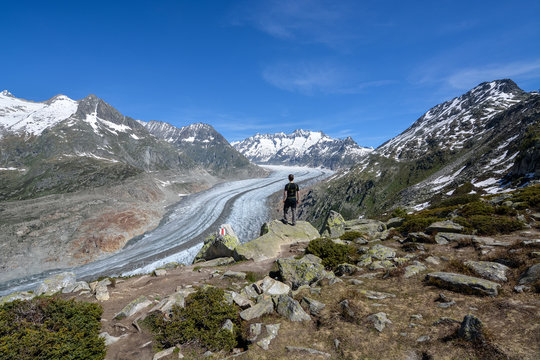 Looking down on the Aletsch glacier near Bettmeralp in the Swiss alps on a sunny day