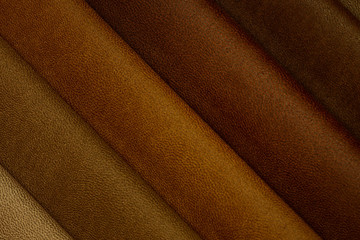 Beige Brown Leather Samples