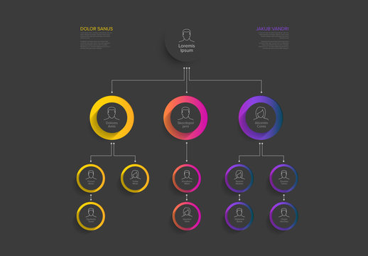 Company Hierarchy Infographic Layout