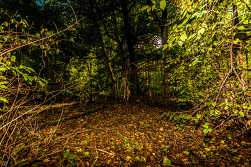 Dortmund vergessener Friedhof 