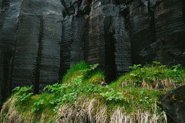 Black basalt columns and green grass near Svartifoss waterfall in Iceland