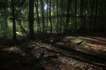 Obraz premium Dortmund vergessener Friedhof 
