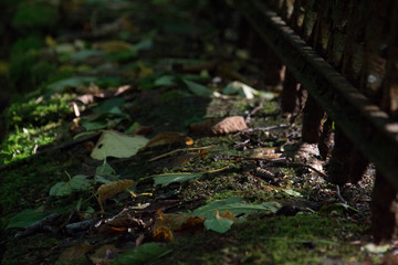 Dortmund vergessener Friedhof 