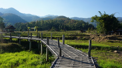 Fototapeta na wymiar bamboo bridge