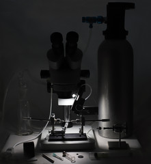 Set tool for artificial insemination of queen bees on white background. Breeding thoroughbred bees. Agribusiness. Beekeeping and queen bee breeding. Grafting, Queen bee introduction