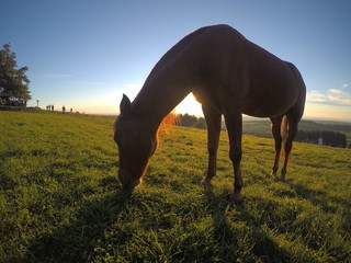 DCIM\100GOPRO\GOPR0103.JPG