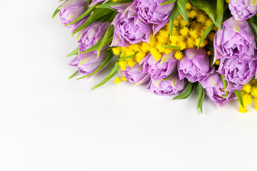 Bouquet of lilac tulips and yellow mimosas on white background, copy space, side view, closeup. March 8, February 14, birthday, Valentine's, Mother's, Women's day celebration, spring concept