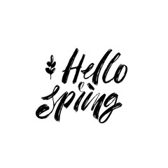 Hello spring - modern handwriting brush lettering. Element for your design