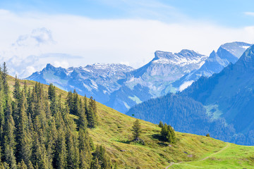 Fototapeta premium The Swiss Alps at Murren, Switzerland. Jungfrau Region. The valley of Lauterbrunnen from Interlaken.