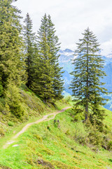 Fototapeta na wymiar Crossing the Alps. Hiking trail in the Alps.