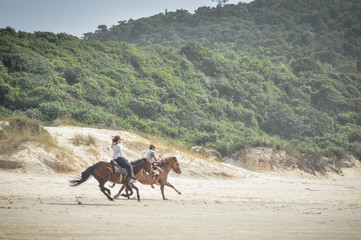 Cavalos na praia.