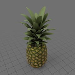 Pineapple