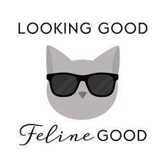 Vector illustration of a cat wearing sunglasses. Looking good feline good.Funny design concept.