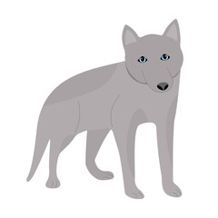 Obraz premium Vector illustration of a husky dog with a friendly face.