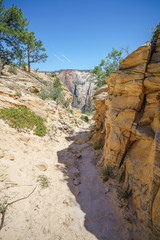 hiking west rim trail in zion national park, usa