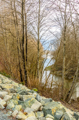 landscape with mountains trees and a river in front