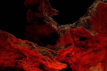 A Tree Root, Showing the Hot Dry Texture of the Dead Wood, Illuminated with a Glow of Orange...
