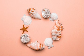 Summer holidays background. Frame of White seashells, Lush Lava starfish isolated on trendy orange pastel color backdrop. Summer is coming concept