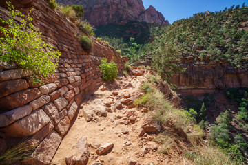 hiking the watchman trail in zion national park, usa