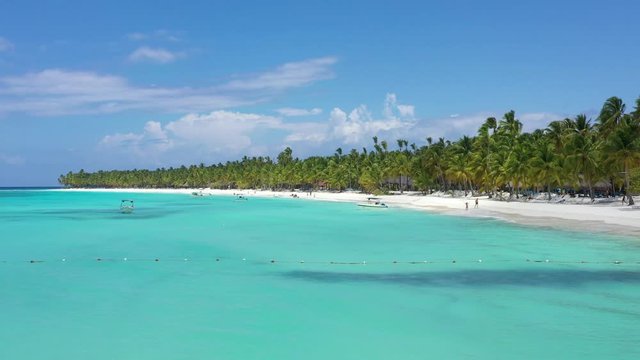 Tropical island with coconut palm trees and turquoise caribbean sea. Aerial view from drone