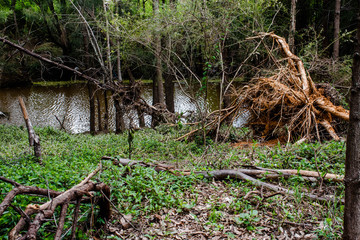 Obraz premium storm ravedged