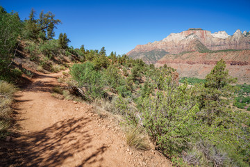 hiking the watchman trail in zion national park, usa