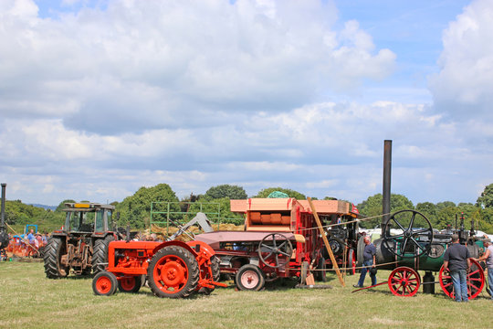 Vintage tractor and thresher