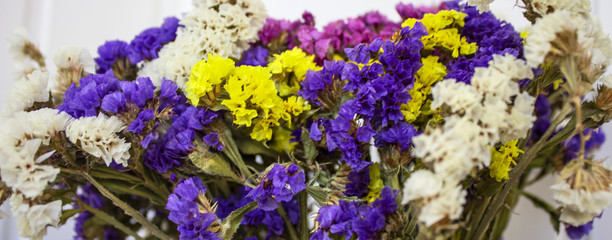 Blue daisy flower. Flower in garden at sunny summer or spring day. Flower for postcard beauty...