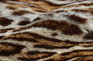 leopard fur coat background texture