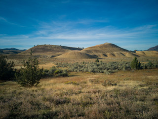 Pyramid shaped mounds in a semi desert environment with bushes grass and weeds in the John Day Fossil Beds Painted Hills Unit in Mitchell Oregon.