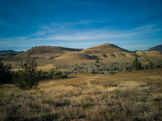 Pyramid shaped mounds in a semi desert environment with bushes grass and weeds in the John Day Fossil Beds Painted Hills Unit in Mitchell Oregon.