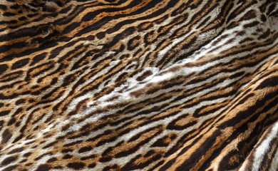 leopard fur coat background texture